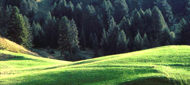 Appennino Tosco-Emiliano, uno scorcio